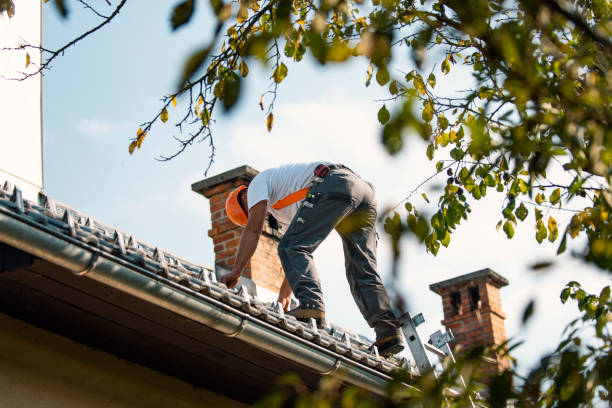 Best Sealant for Roof  in Warren Af, WY