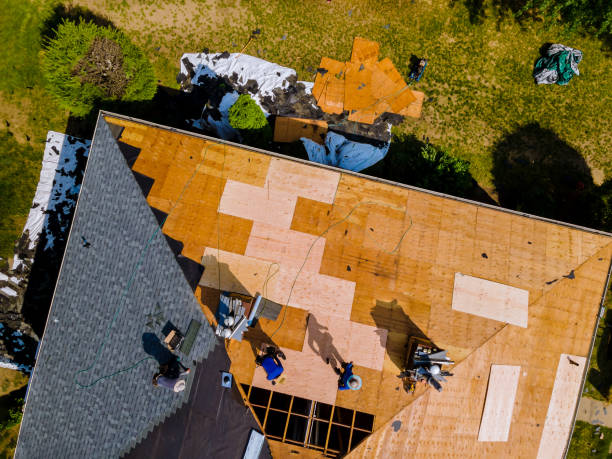 Best Metal Roofing Contractor  in Warren Af, WY