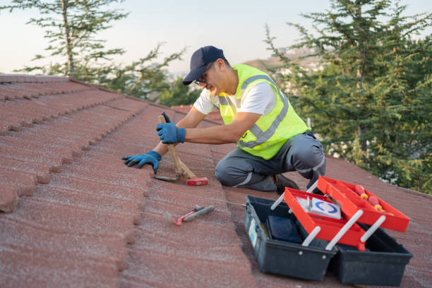 Best Roof Replacement Cost  in Warren Af, WY
