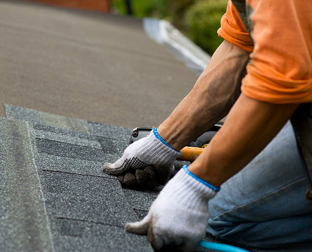 Best Roof Leak Repair  in Warren Af, WY